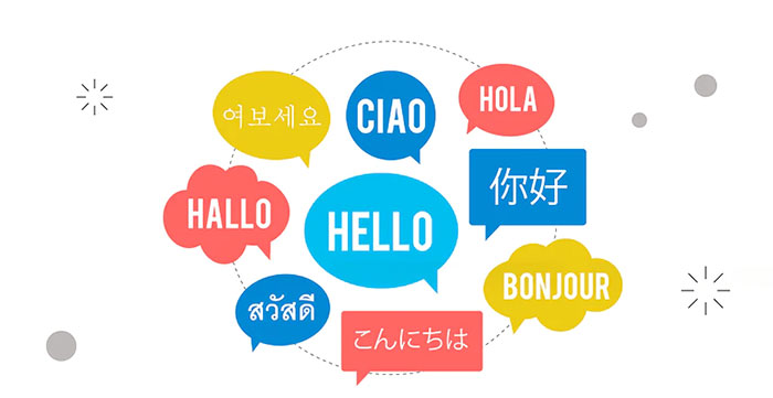 Dấu hiệu 2: Chỉ có tiếng Việt mà không hỗ trợ các ngôn ngữ khác